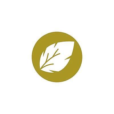 EPS 해외이미지 나무 식물 디자인 계절 백그라운드 단풍 잎 패턴 오렌지 일러스트 모션 자연 바람 장식 빨간색 초록색 갈색 노란색 가을 흰색 투명 황금 숲 9월 에코 질감 10월 내추럴 고립 미루나무 블러 생태학 엘리먼트 해외일러스트 자연요소 교육 컬러 무늬 과일 날씨 환경 날짜 생태계 파일형식 벡터 이미지허브