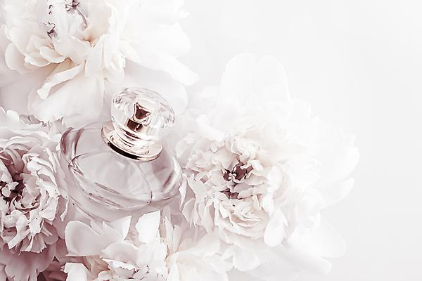 포토 JPG 해외이미지 실내 사람없음 뷰티 화장품 향수 흰배경 모란 향수병 브랜딩 세련 해외포토 꽃 백그라운드 내부 흰색 병_담는 파일형식 이미지허브