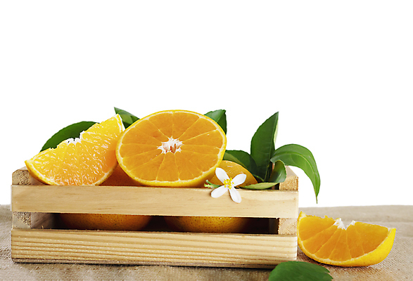 포토 JPG 해외이미지 1 음식 조각 백그라운드 잎 농업 오렌지 과일 부분 자연 귤 건강 사람없음 초록색 세트 노란색 주스 흰색 신선 달콤 맛 자르기 유기농 날것 슬라이스 C 내추럴 고립 숙성 완벽 채식주의자 해외포토 식물 웰빙 알파벳 산업 음료 컬러 컨셉 모션 생태계 채식 파일형식 이미지허브