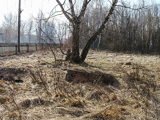 포토 JPG 해외이미지 식물 교실 지붕 아파트 주택 안테나 풍경 사람없음 건물 환경 힘 손상 방 에너지 도시 유령 사건 버리기 생태계 지역 타운 원자력 깨짐 방사능 방사선 생태학 소비에트 썩음 옛날 우크라이나 재앙 파멸 해외포토 건축물 교육 유럽 컨셉 통신 학교 모션 파일형식 소멸 이미지허브