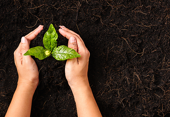 포토 JPG 해외이미지 손 잎 자연 신체부위 새싹 흙 잡기 땅 해외포토 식물 모션 사람 생태계 파일형식 이미지허브