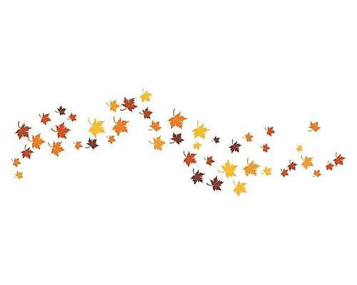 EPS 해외이미지 단풍 낙엽 잎 일러스트 사람없음 오브젝트 엘리먼트 해외일러스트 식물 파일형식 벡터 이미지허브
