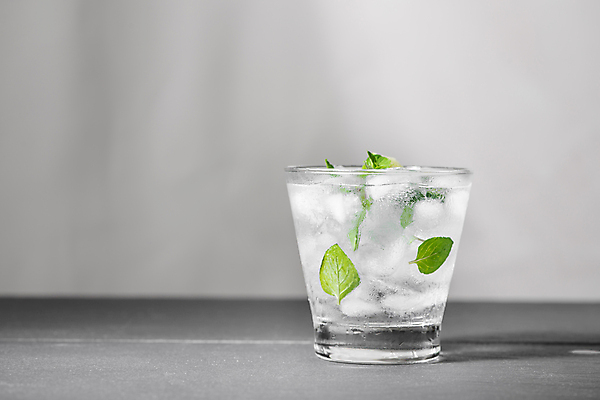 포토 JPG 해외이미지 잎 회색배경 잔 실내 사람없음 얼음 라임민트 모히토 해외포토 자연요소 식물 식기 백그라운드 내부 회색 칵테일 파일형식 이미지허브
