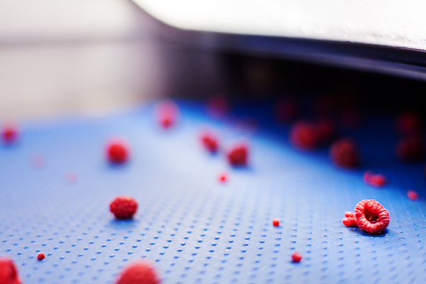 포토 JPG 해외이미지 공장 사람없음 아웃포커스 냉동 기계 제조 산딸기 식품공장 냉동식품 해외포토 음식 과일 공업 촬영기법 파일형식 이미지허브