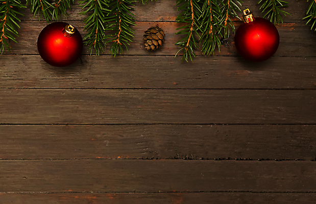 포토 JPG 해외이미지 나무 계절 백그라운드 크리스마스장식 크리스마스 겨울 공 휴가 새로움 사람없음 목재 장식 빨간색 초록색 축제 장식볼 나뭇가지 축하 소나무 연도 전나무 구성 카피스페이스 크리스마스배경 해외포토 식물 기념일 컬러 컨셉 재료 공백 파일형식 이미지허브