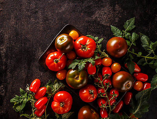 포토 JPG 해외이미지 잎 토마토 방울토마토 검은배경 실내 종류 사람없음 하이앵글 해외포토 식물 뷰포인트 백그라운드 채소 내부 검은색 파일형식 이미지허브