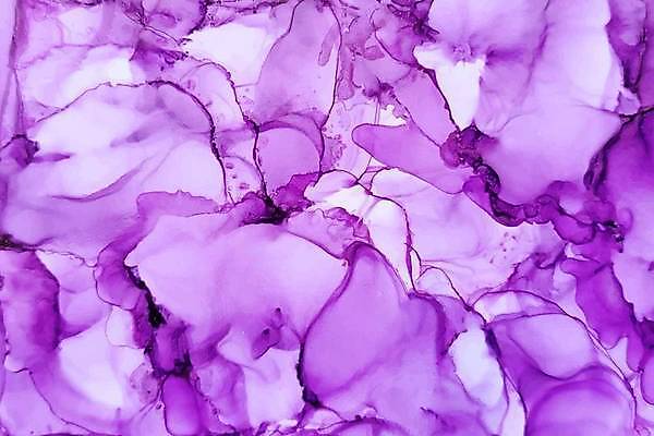 EPS 해외이미지 백그라운드 일러스트 사람없음 보라색 해외일러스트 컬러 파일형식 벡터 이미지허브