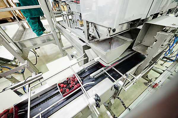 포토 JPG 해외이미지 공장 한명 서기 성인 옆모습 냉동 기계 하반신 제조 담기 산딸기 포장용기 성인한명만 식품공장 냉동식품 해외포토 1 음식 뷰포인트 과일 공업 모션 사람 포장재료 성인만 파일형식 이미지허브