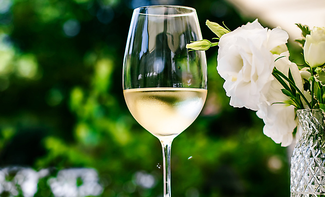 포토 JPG 해외이미지 주간 와인잔 한잔 사람없음 야외 아웃포커스 와인 화이트와인 해외포토 자연요소 1 술잔 주류 촬영기법 파일형식 이미지허브