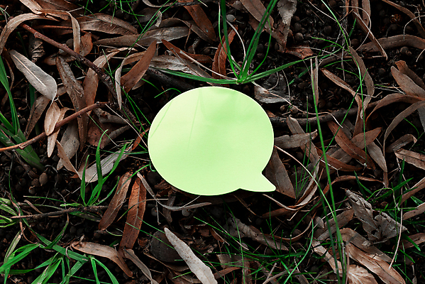 포토 JPG 해외이미지 종이 백그라운드 말풍선 낙엽 아이디어 사람없음 초록색 잡초 카피스페이스 해외포토 식물 컬러 컨셉 잎 공백 파일형식 이미지허브