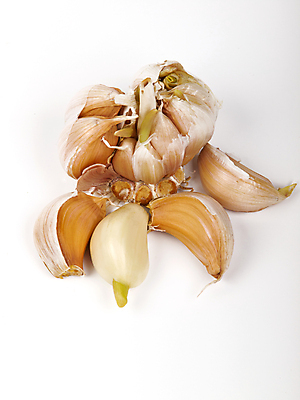 포토 JPG 해외이미지 음식 채소 전구 건강 마늘 사람없음 보라색 흰색 신선 고명 맛 준비 레시피 고립 해외포토 컬러 컨셉 파일형식 이미지허브