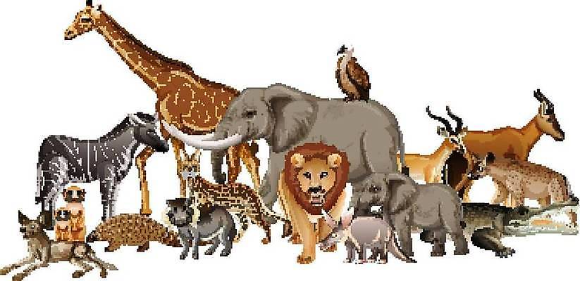 EPS 해외이미지 나무 식물 동물 백그라운드 이동 일러스트 포유류 아프리카 코끼리 생물 동물원 야외 세트 환경 고양이 흰색 숲 사자 만화 수집 기린 사파리 육식동물 악어 얼룩말 사냥꾼 리빙 내추럴 동물상 미어캣 엘리먼트 많음 시리즈 해외일러스트 직업 나라 컬러 컨셉 파충류 반려동물 조형물 말_동물 파일형식 벡터 이미지허브