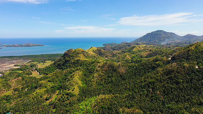 포토 JPG 해외이미지 나무 식물 공원 아시아 바다 여행 잎 자연 표면 산 안테나 사람없음 목재 초록색 야자수 환경 안개 정상 숲 열대우림 언덕 상록수 조감도 해외포토 공공시설 나라 컬러 재료 통신 날씨 생태계 파일형식 이미지허브