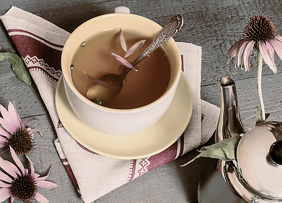 포토 JPG 해외이미지 식물 전통 계절 꽃잎 꽃 잎 자연 건조 실내 사람없음 컵 가로 약 약재 나뭇가지 신선 개화 약초 꿀 내추럴 많음 카피스페이스 해외포토 나무 식기 컨셉 의학 내부 공백 풀_식물 생태계 파일형식 이미지허브