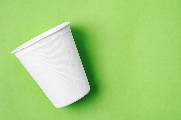 포토 JPG 해외이미지 실내 사람없음 한개 자연보호 종이컵 에코 친환경 에코라이프 친환경제품 카피스페이스 초록배경 제로웨이스트 해외포토 1 라이프스타일 백그라운드 자연 내부 컵 초록색 환경 그린캠페인 공백 보호 일회용 사회이슈 파일형식 이미지허브