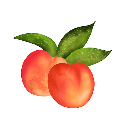 포토 JPG 해외이미지 식물 손 디자인 음식 분홍색 백그라운드 잎 일러스트 자연 수채화 건강 요리 사람없음 그래픽 장식 빨간색 초록색 여름 컬러풀 정원 가을 흰색 신선 달콤 맛 만화 볼터치 먹기 오브젝트 그림 복숭아 내추럴 고립 살구 숙성 엘리먼트 채식주의자 천도복숭아 현실 해외일러스트 계절 컬러 컨셉 과일 모션 신체부위 화장 생태계 채식 파일형식 이미지허브