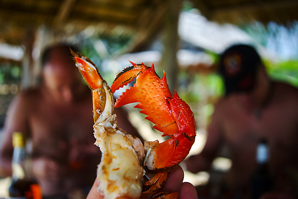 포토 JPG 해외이미지 동물 접시 음식 바다 백그라운드 오렌지 태국 자연 조개 주택 건강 육류 갑각류 어류 요리 사람없음 빨간색 환경 식당 요리사 검은색 축제 식사 저녁식사 추위 게 흰색 신선 뜨거움 맛 수증기 해산물 잔치 거인 점심식사 민물 뷔페 삶기 맛있는 해외포토 직업 식기 아시아 컬러 컨셉 과일 식재료 어패류 건물 상점 수중동물 생태계 파일형식 이미지허브