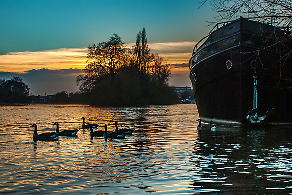 포토 JPG 해외이미지 여러마리 하늘 오리 사람없음 야외 강 일몰 야간 해외포토 자연요소 다수 조류 노을 파일형식 이미지허브