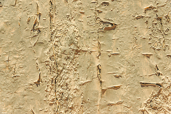 포토 JPG 해외이미지 외관 벽 백그라운드 패턴 벽지 표면 날씨 추상 벽돌 사람없음 건물 페인트 손상 수확 골동품 껍질 얼룩 거친 균열 버리기 묘사 질감 복고 시멘트 구식 깨짐 석고 썩음 옛날 콘크리트 노화 해외포토 건축물 컨셉 무늬 농업 모션 파일형식 이미지허브