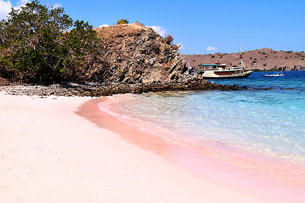 포토 JPG 해외이미지 공원 모래 바다 분홍색 섬 여행 백그라운드 자연 하늘 휴가 휴식 국립공원 사람없음 야외 초록색 물 파란색 햇빛 태양 맑음 침묵 만 인도네시아 전국 파라다이스 해외포토 자연요소 공공시설 아시아 컬러 컨셉 날씨 소리 생태계 파일형식 이미지허브