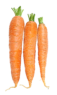 포토 JPG 해외이미지 음식 채소 오렌지 건강 사람없음 초록색 당근 신선 유기농 날것 고립 숙성 해외포토 웰빙 컬러 과일 뿌리채소 파일형식 이미지허브