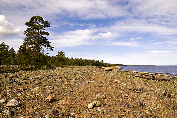 포토 JPG 해외이미지 나무 구름 유럽 바다 여행 자연 스웨덴 풍경 사람없음 물 만 암초 스칸디나비아 해외포토 자연요소 식물 나라 북유럽 생태계 파일형식 이미지허브