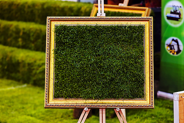 포토 JPG 해외이미지 식물 디자인 계절 공원 꽃잎 꽃 벽 백그라운드 잎 꽃무늬 패턴 자연 추상 사랑 사람없음 야외 장식 초록색 컬러풀 뷰티 환경 정원 봄 흰색 신선 닫기 다발 배열 심볼 묘사 원예 질감 조경 쇼 내추럴 정중 해외포토 공공시설 감정 컬러 컨셉 무늬 모션 취미 생태계 파일형식 이미지허브