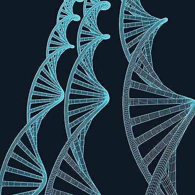 EPS 해외이미지 모양 모델 선 과학 컨셉 일러스트 추상 세포 나선형 건강 미술 그래픽 약 3D 디지털 웹 흰색 점 그물 네트워크 진화 DNA 생명공학 연결 심볼 질감 서식 생물학 원자 철사 염색체 기하학 망사 엘리먼트 유전 폴리곤 와이어프레임 해외일러스트 교육 컬러 무늬 인터넷 의학 문화예술 직물 소방 디지털합성 파일형식 벡터 이미지허브