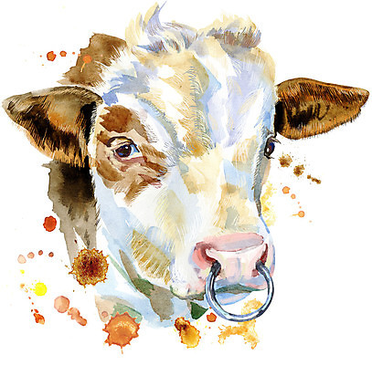 JPG 해외이미지 한마리 일러스트 사람없음 소 번짐 해외일러스트 1 포유류 파일형식 효과 이미지허브