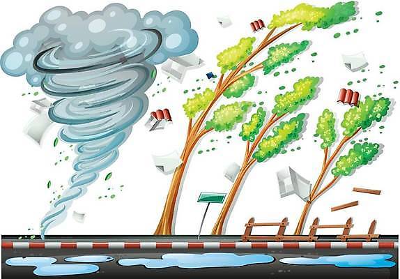 EPS 해외이미지 클립아트 나무 계절 도로 길 백그라운드 일러스트 바람 날씨 거리 미술 풍경 야외 그래픽 흰색 자르기 오브젝트 그림 클립 장면 폭풍 고립 쓰나미 해외일러스트 자연요소 식물 컬러 교통시설 모션 문화예술 해일 파일형식 벡터 이미지허브