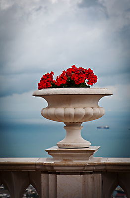 포토 JPG 해외이미지 식물 디자인 꽃 화분 화초 바다 가구 백그라운드 잎 자연 하늘 벽돌 주택 실내 사람없음 야외 내부 장식 초록색 빛 갈색 꽃병 성장 바위 흰색 냄비 큼 묘사 원예 리빙 내추럴 심기 안뜰 피튜니아 해외포토 컬러 생활용품 모션 취미 건물 돌_바위 솥 크기 생태계 파일형식 이미지허브