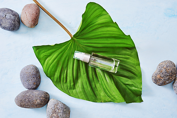 포토 JPG 해외이미지 실내 사람없음 뷰티 돌_바위 피부관리 파란배경 스킨케어 스톤 기초화장품 열대잎 세럼 해외포토 백그라운드 잎 내부 파란색 화장품 파일형식 이미지허브