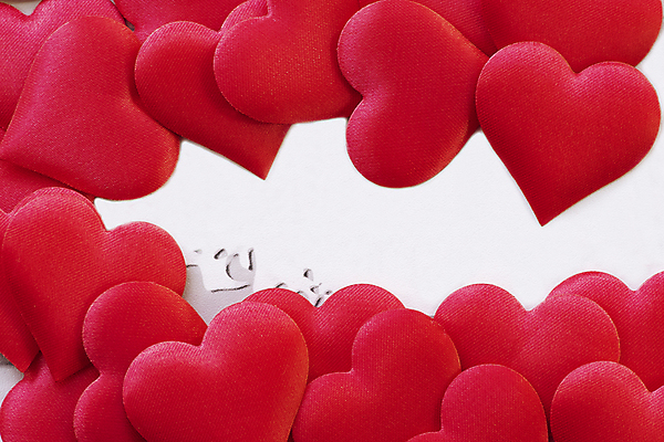 포토 JPG 해외이미지 모양 디자인 배너 커플 기념일 꽃 행복 결혼 백그라운드 컨셉 패턴 텍스트 추상 휴가 기념 발렌타인데이 사랑 이벤트 사람없음 목재 장식 빨간색 장미 우주 낭만 수확 흰색 하트 시골 축하 인사 신용카드 심볼 질감 엽서 2월 해외포토 나무 식물 감정 컬러 무늬 농업 재료 관계 데이이벤트 금융 예절 날짜 편지 파일형식 이미지허브