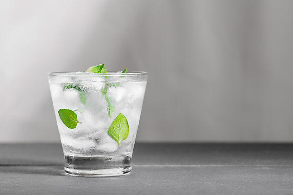 포토 JPG 해외이미지 잎 회색배경 잔 실내 사람없음 얼음 알코올 라임민트 모히토 카피스페이스 해외포토 자연요소 식물 식기 백그라운드 내부 공백 회색 칵테일 파일형식 이미지허브