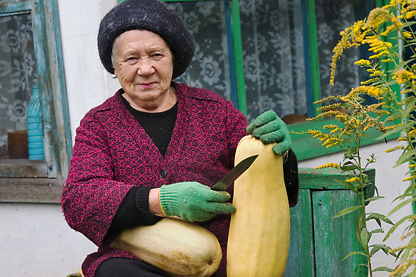 포토 JPG 해외이미지 식물 1 여자 노년 자연 호박 휴식 주택 건강 한명 사람 성인 취미 초록색 농작물 정원 가을 시골 은퇴 원예 숙성 옛날 원예사 해외포토 직업 계절 컬러 컨셉 농업 채소 건물 생태계 파일형식 이미지허브