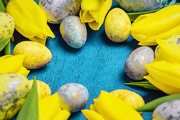 포토 JPG 해외이미지 식물 전통 계절 꽃 행복 음식 꽃다발 백그라운드 자연 탁자 휴가 부활절 선물 이벤트 사람없음 목재 장식 초록색 컬러풀 뷰티 노란색 우주 계란 축제 봄 튤립 벚꽃 시골 축하 인사 신선 신용카드 정상 4월 다발 심볼 파스텔톤 해외포토 나무 기념일 감정 컬러 가구 컨셉 재료 금융 알 예절 날짜 생태계 파일형식 이미지허브