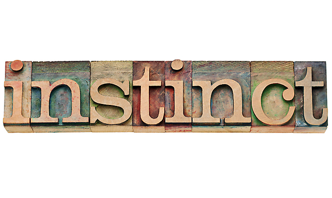 포토 JPG 해외이미지 텍스트 타이포그라피 사람없음 목재 단어 수확 골동품 흰색 얼룩 낟알 스크래치 타입 고립 그런지 해외포토 나무 문자 컬러 농업 재료 파일형식 이미지허브