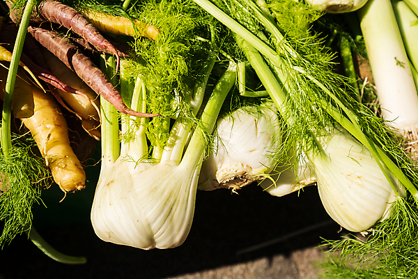 포토 JPG 해외이미지 식물 음식 백그라운드 잎 농업 다이어트 채소 재료 전구 자연 건강 요리 사람없음 초록색 샐러드 수확 흰색 신선 시장 허브 유기농 날것 향 내추럴 생식 채식주의자 회향 비건 해외포토 웰빙 산업 컬러 생태계 채식 파일형식 이미지허브