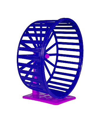 포토 JPG 해외이미지 동물 직업 응시 백그라운드 장난 포유류 주택 실내 사람없음 내부 파란색 반려동물 장난감 달리기 운동 보라색 힘 게임 바퀴 플라스틱 꼬리 장면 고립 주목 해외포토 시선 컬러 모션 재질 놀이 건강 건물 파일형식 이미지허브