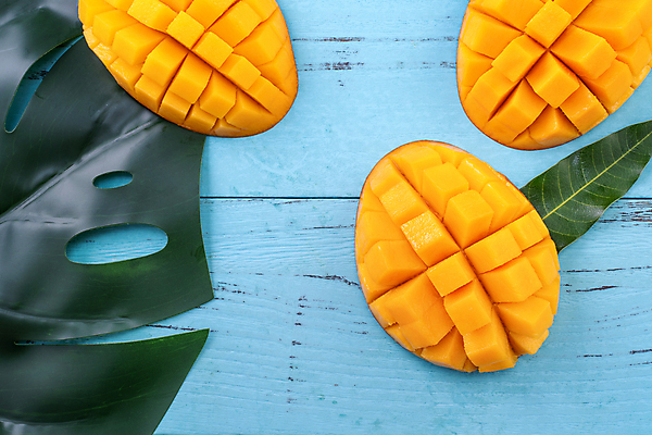 포토 JPG 해외이미지 스튜디오촬영 하늘색 나뭇잎 사람없음 하이앵글 노란색 망고 해외포토 뷰포인트 컬러 잎 실내 파란색 열대과일 파일형식 이미지허브