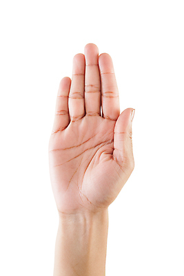 포토 JPG 해외이미지 손 교육 백그라운드 컨셉 통신 손가락 학교 아이디어 관리 손바닥 사람 손짓 사람없음 스터디 세트 숫자 힘 주먹 엄지손가락 도전 흰색 그룹 계산 축복 수집 심볼 사인 심플 5 팔 보여주기 해결 고립 카운트 헬프 해외포토 문자 컬러 모션 신체부위 학습 도움 파일형식 이미지허브