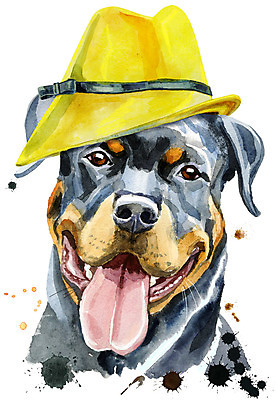 포토 JPG 해외이미지 디자인 백그라운드 일러스트 미술 사람없음 반려동물 개 강아지 해외일러스트 동물 포유류 문화예술 파일형식 이미지허브