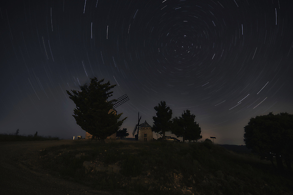 포토 JPG 해외이미지 나무 밤하늘 사람없음 야외 어둠 분위기 야간 유성 감성 몽환 해외포토 자연요소 식물 컨셉 하늘 파일형식 이미지허브