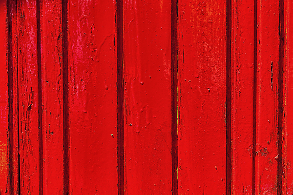 포토 JPG 해외이미지 나무 디자인 외관 벽 백그라운드 패턴 자연 탁자 표면 날씨 추상 건조 사람없음 목재 장식 어둠 페인트 손상 수확 판넬 얼룩 거친 널 자르기 타일 책상 질감 복고 내추럴 그런지 수목 울퉁불퉁 중고 파케트 효과 해외포토 식물 가구 컨셉 무늬 농업 재료 모션 생태계 파일형식 이미지허브