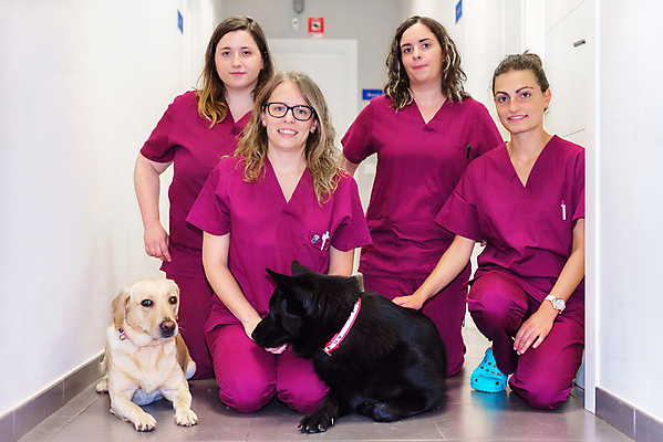 포토 JPG 해외이미지 동물 직업 응시 여자 행복 청진기 함께함 건강 병원 실험 미소 사람 여러명 치료 반려동물 사무실 약 고통 장비 간호사 의사 흰색 잡기 작업 그룹 강아지 환영 수의사 송곳니 돌봄 해외포토 시선 감정 컬러 다수 컨셉 비즈니스 의학 의료기기 모션 표정 의료진 개 치아 파일형식 이미지허브