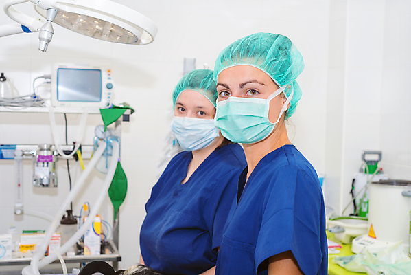 포토 JPG 해외이미지 동물 직업 손 여자 장갑 건강 병원 관리 사람 두명 치료 약 방 고통 장비 환자 간호사 의사 긴급 수술 칼 개 강아지 보호 극장 동료 준비 외과 수의사 순서 돌봄 살균 해외포토 잡화 감정 컨셉 포유류 의학 관계 모션 신체부위 반려동물 의료진 파일형식 이미지허브