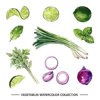 EPS 해외이미지 일러스트 사람없음 신선 민트 슬라이스 라임 대파 엘리먼트 적양파 해외일러스트 과일 양파 허브 파 파일형식 벡터 이미지허브