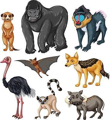 EPS 해외이미지 클립아트 동물 길 야생동물 백그라운드 일러스트 포유류 자연 생물 미술 그래픽 세트 흰색 돼지 자르기 수집 오브젝트 그림 클립 여우 박쥐 리빙 고립 미어캣 이국적 시리즈 해외일러스트 컬러 모션 문화예술 생태계 파일형식 벡터 이미지허브