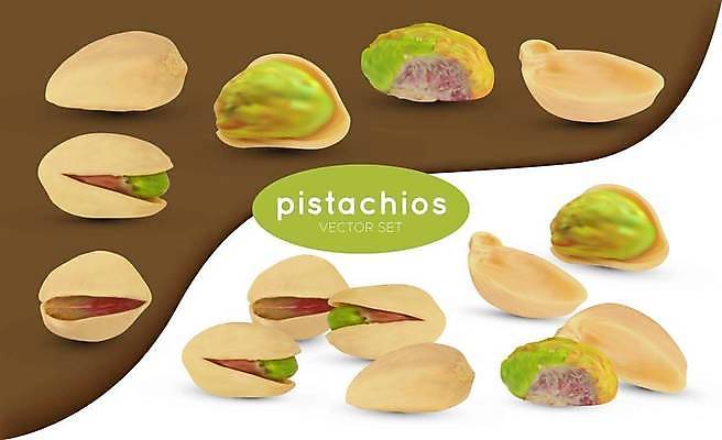 EPS 해외이미지 식물 디자인 음식 백그라운드 과일 일러스트 자연 건조 요리 씨앗 초록색 3D 견과류 껍질 흰색 오픈 시장 닫기 낟알 굽기 싱글 그림 에코 질감 알맹이 날것 땅콩 소금 고립 절임 채식주의자 피스타치오 핵심 현실 해외일러스트 컬러 모션 환경 구이 디지털합성 생태계 채식 파일형식 벡터 이미지허브