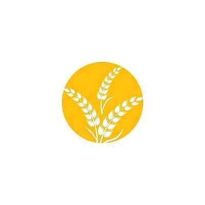 EPS 해외이미지 식물 디자인 음식 빵 농업 일러스트 자연 밥 씨앗 농작물 농장 수확 성장 낟알 시리얼 밀 심볼 사인 보리 귀 내추럴 고립 밭일 엘리먼트 호밀 해외일러스트 산업 곡류 신체부위 생태계 파일형식 벡터 이미지허브